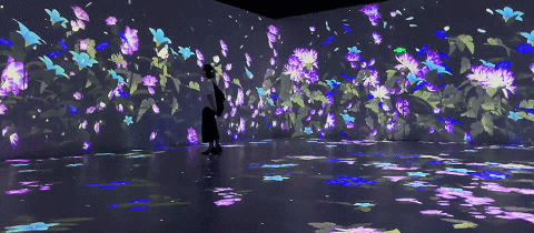 行走的故宫文化--故宫石渠宝笈绘画数字科技展