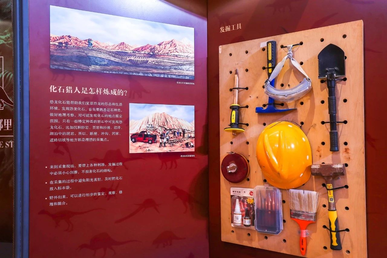 《如何复活一只恐龙》主题公益展
