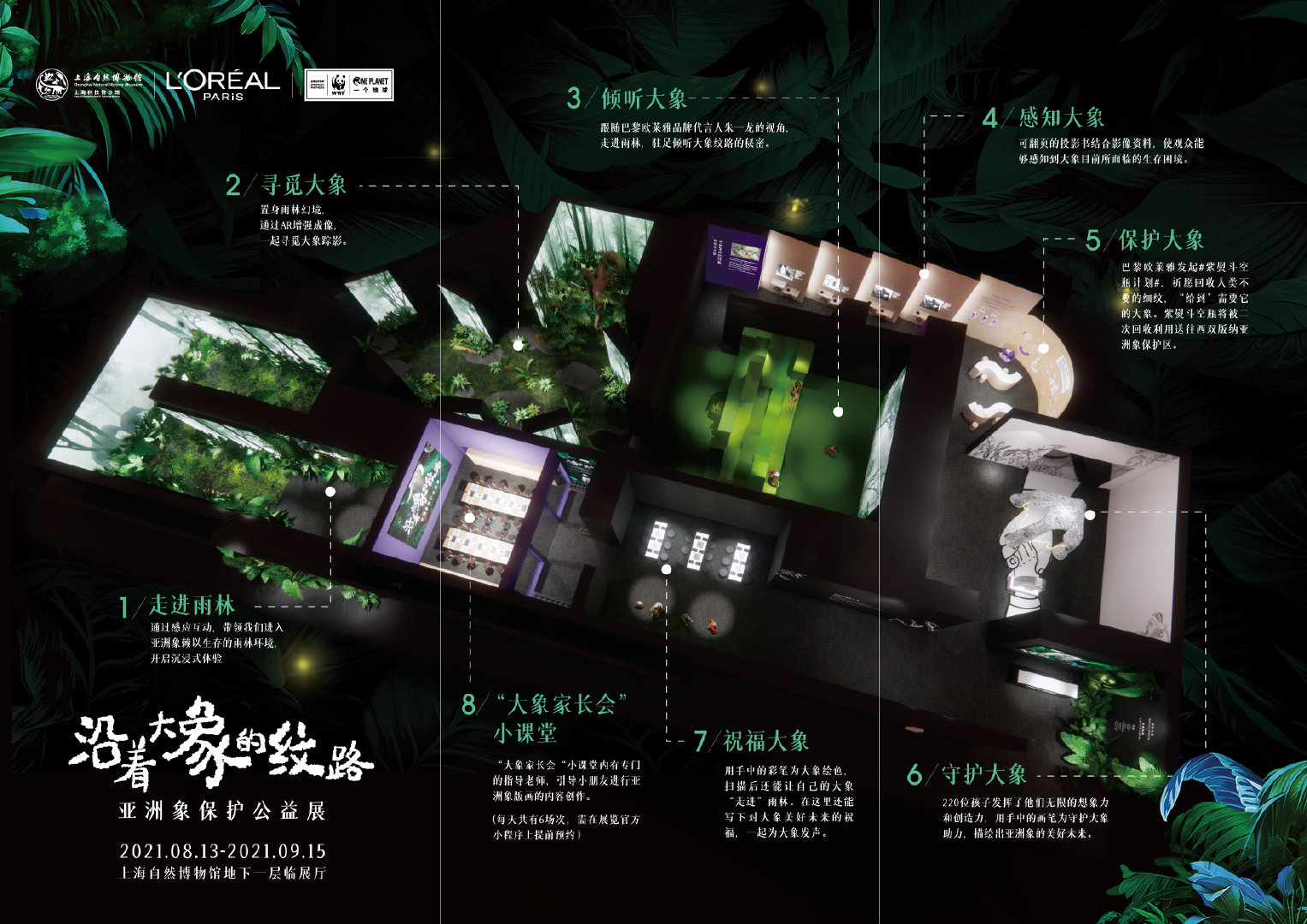 亚洲象保护公益展｜沿着大象的纹路
