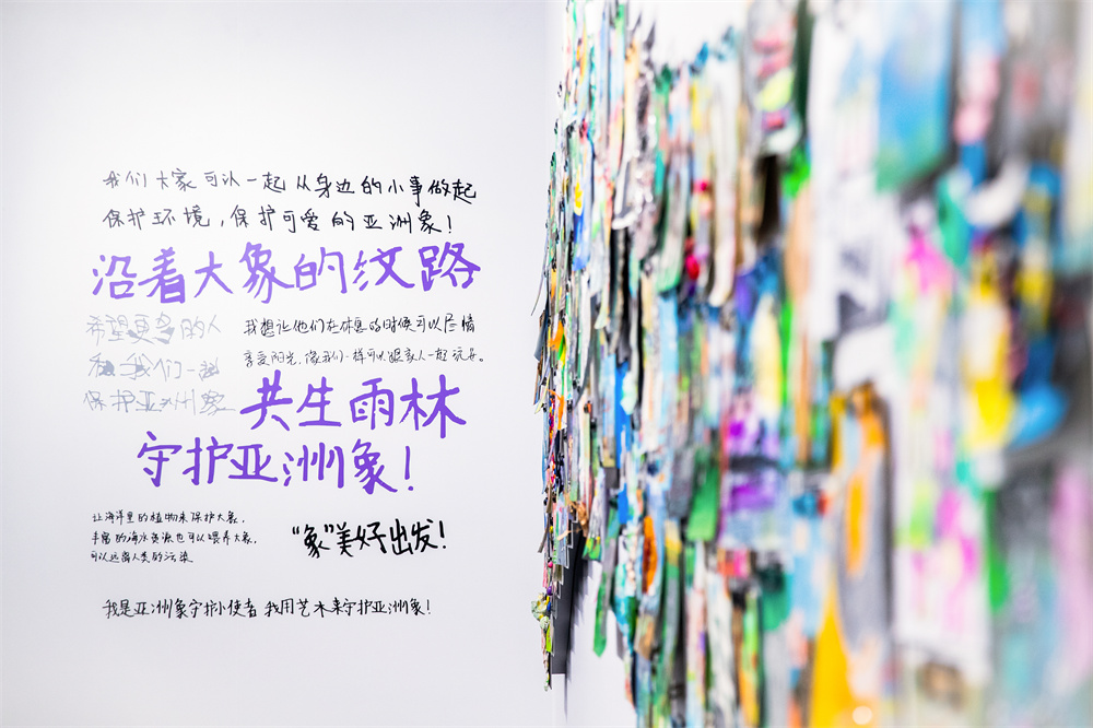 亚洲象保护公益展｜沿着大象的纹路