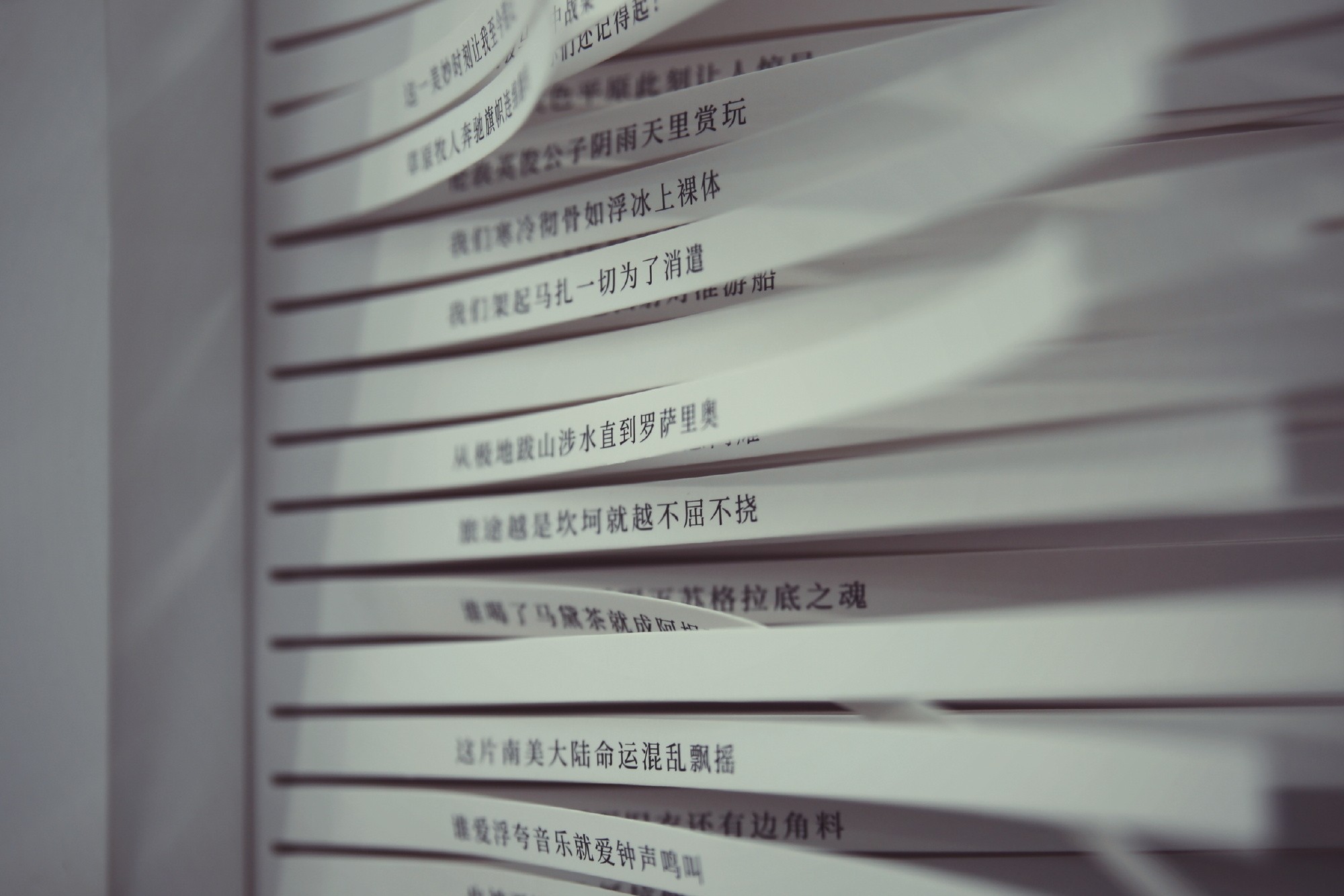 唯知识永恒！郎园×做書「图书市集」