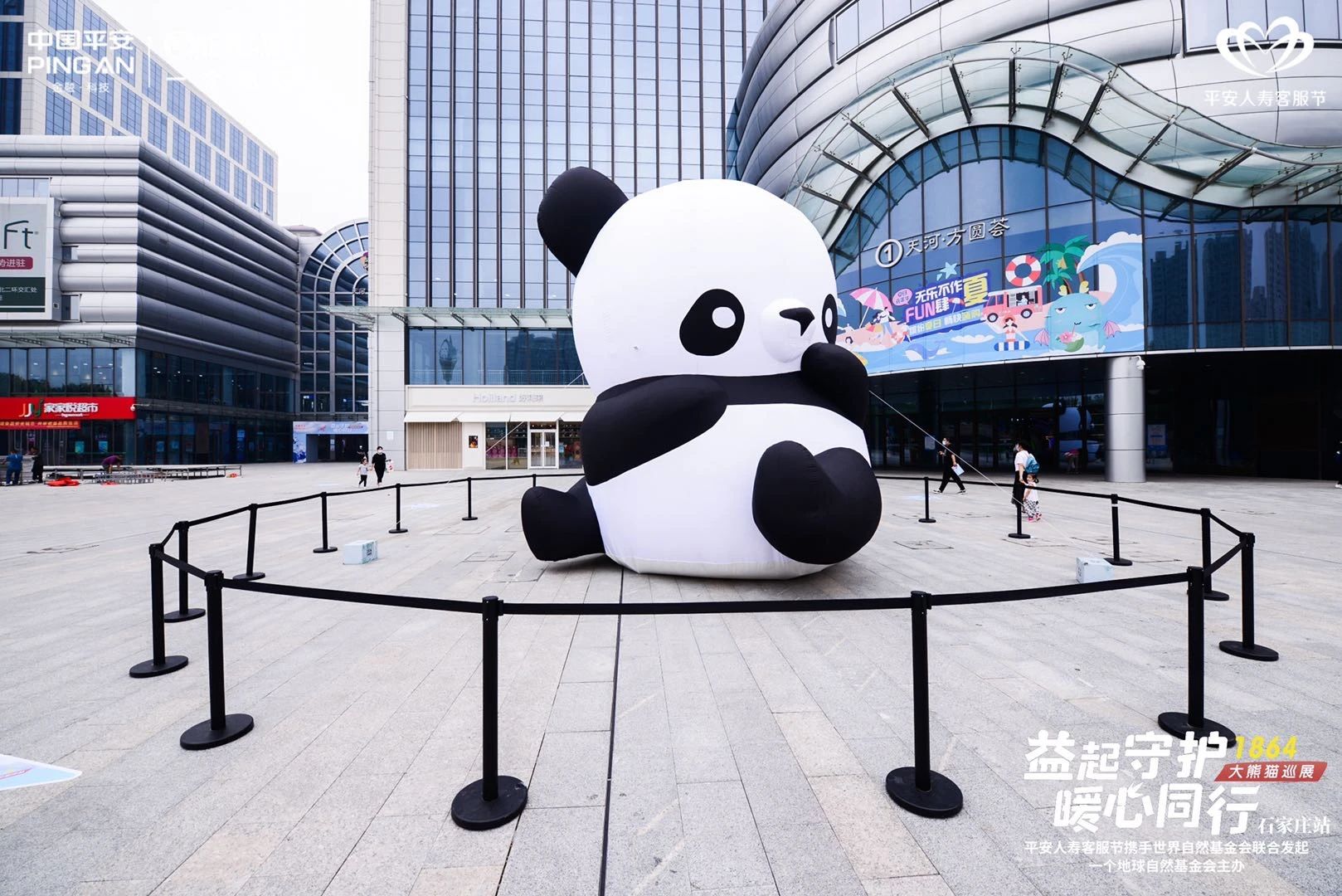 1864大熊猫巡展·石家庄站