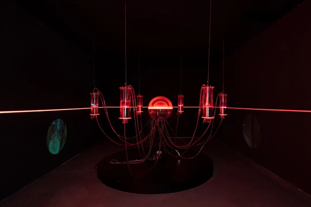 「不准停电」科技艺术大展