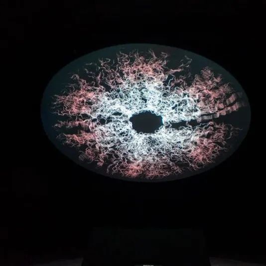 「不准停电」科技艺术大展