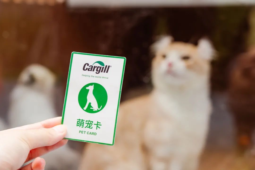 Cargill 嘉吉“新叶新生”品牌快闪店
