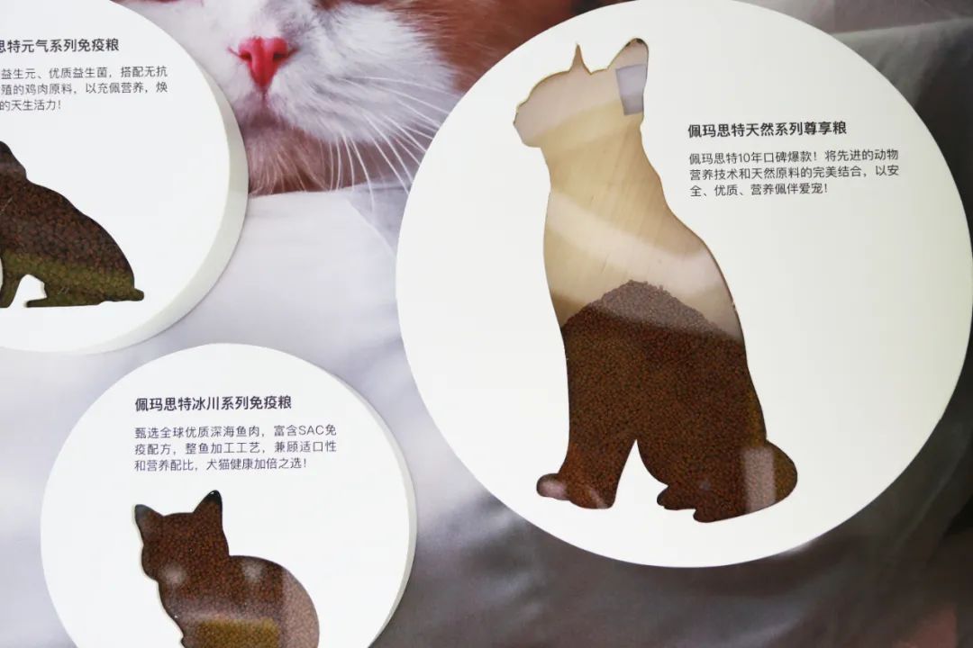 Cargill 嘉吉“新叶新生”品牌快闪店