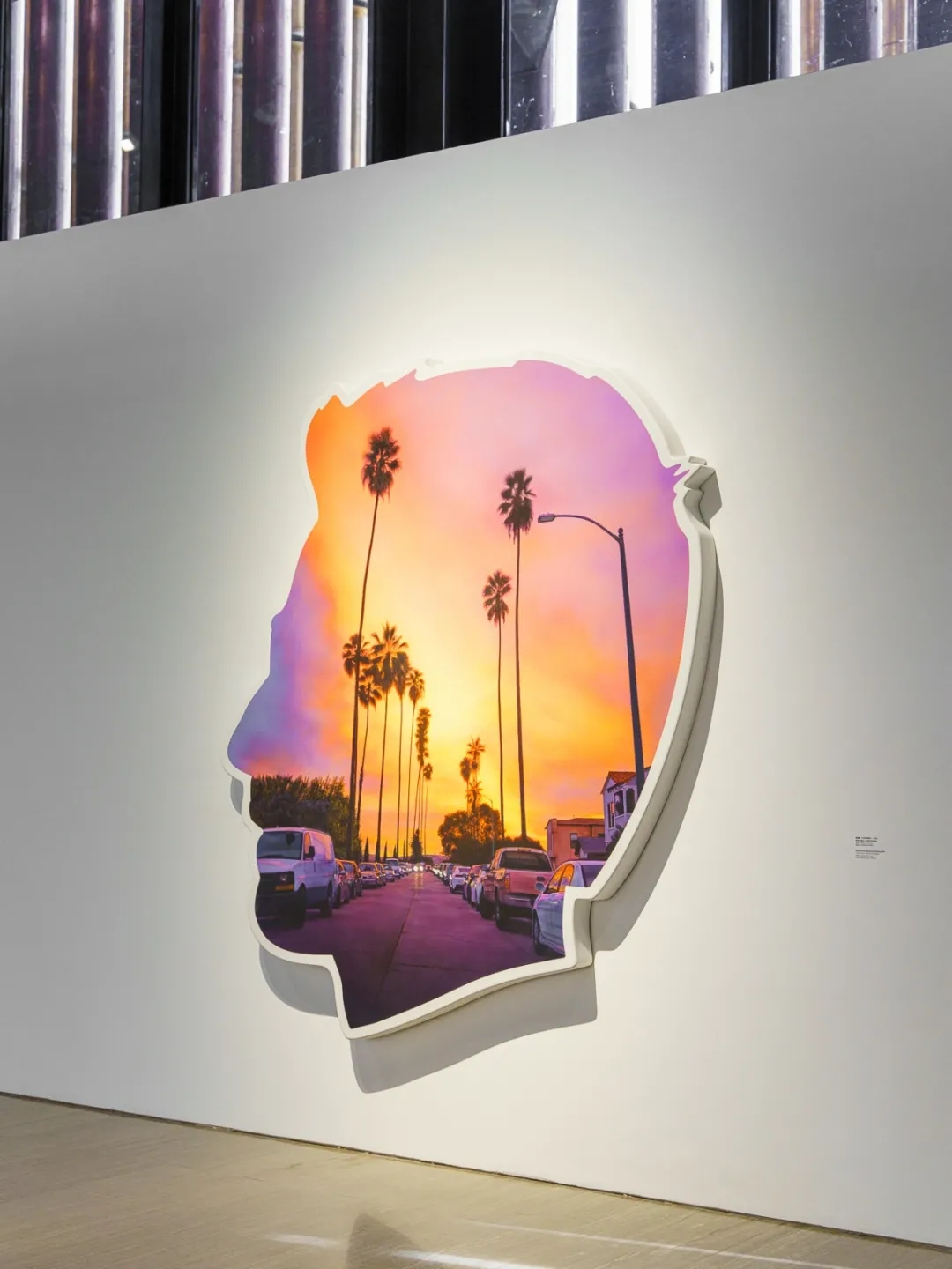 上海艺术家Alex Israel国内首个美术馆级大展