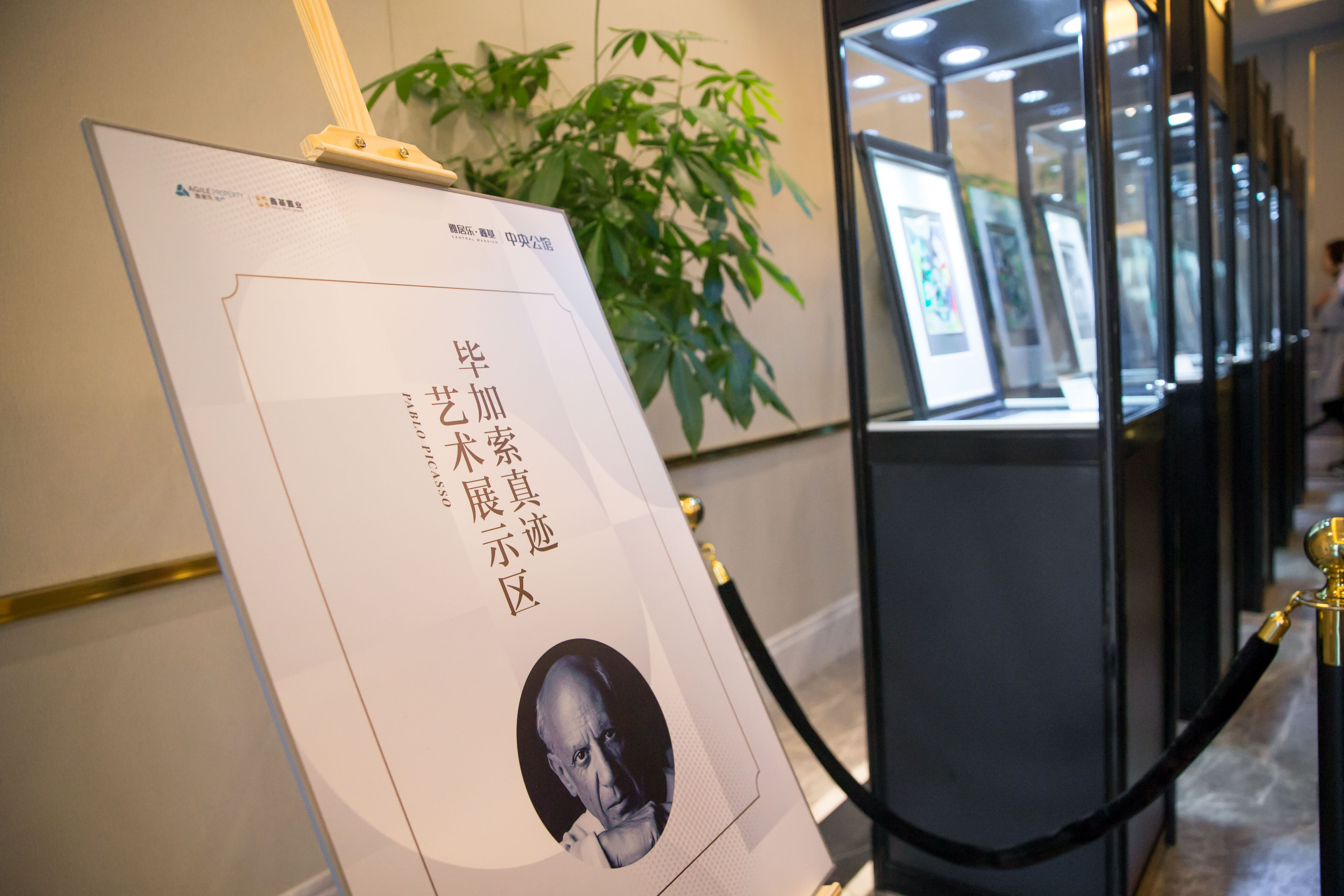 江苏.南通.毕加索真迹展
