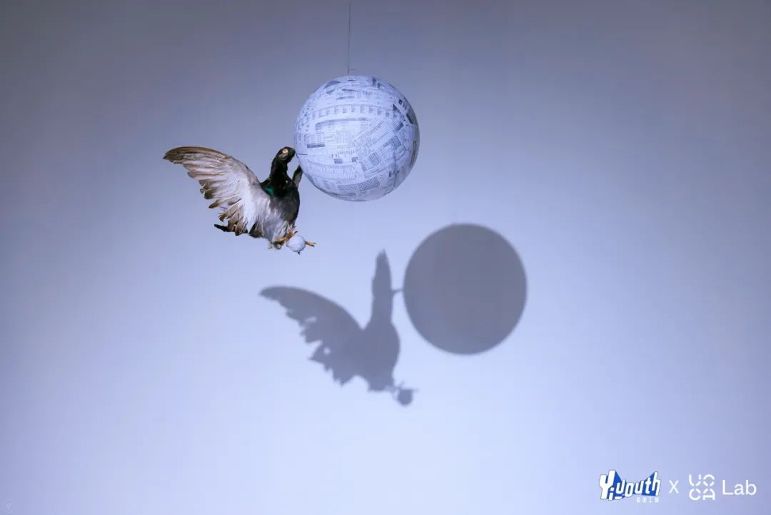 「浪潮与浪潮」跨媒介青年潮流艺术展览