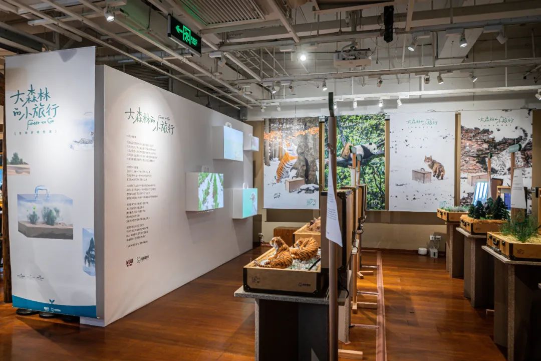 「大森林的小旅行」生物多样性展览