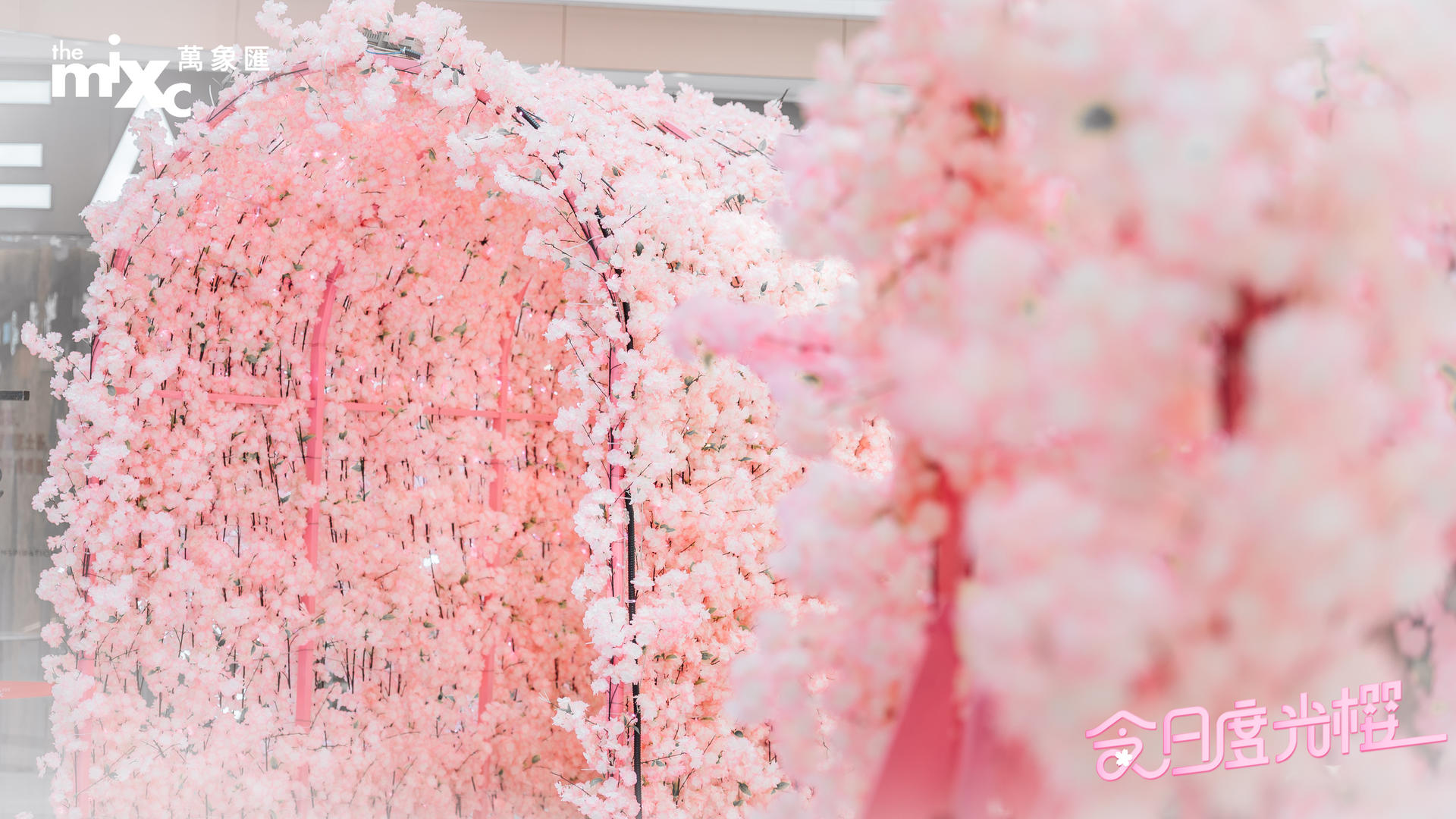 三月限定美好，打造春日主题樱花季美陈活动