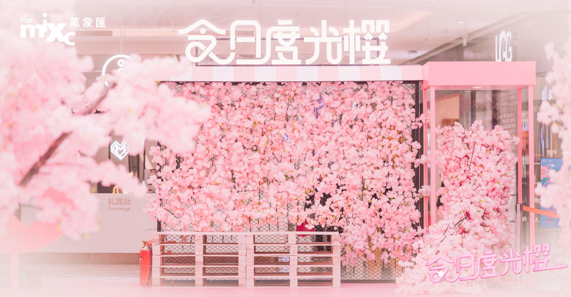 三月限定美好，打造春日主题樱花季美陈活动