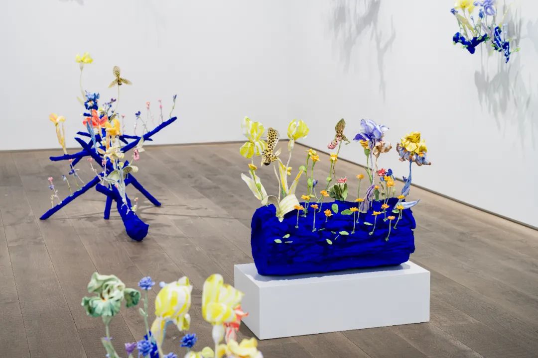 娜塔莉·杜尔伯格 & 汉斯·博格个展「驻足」