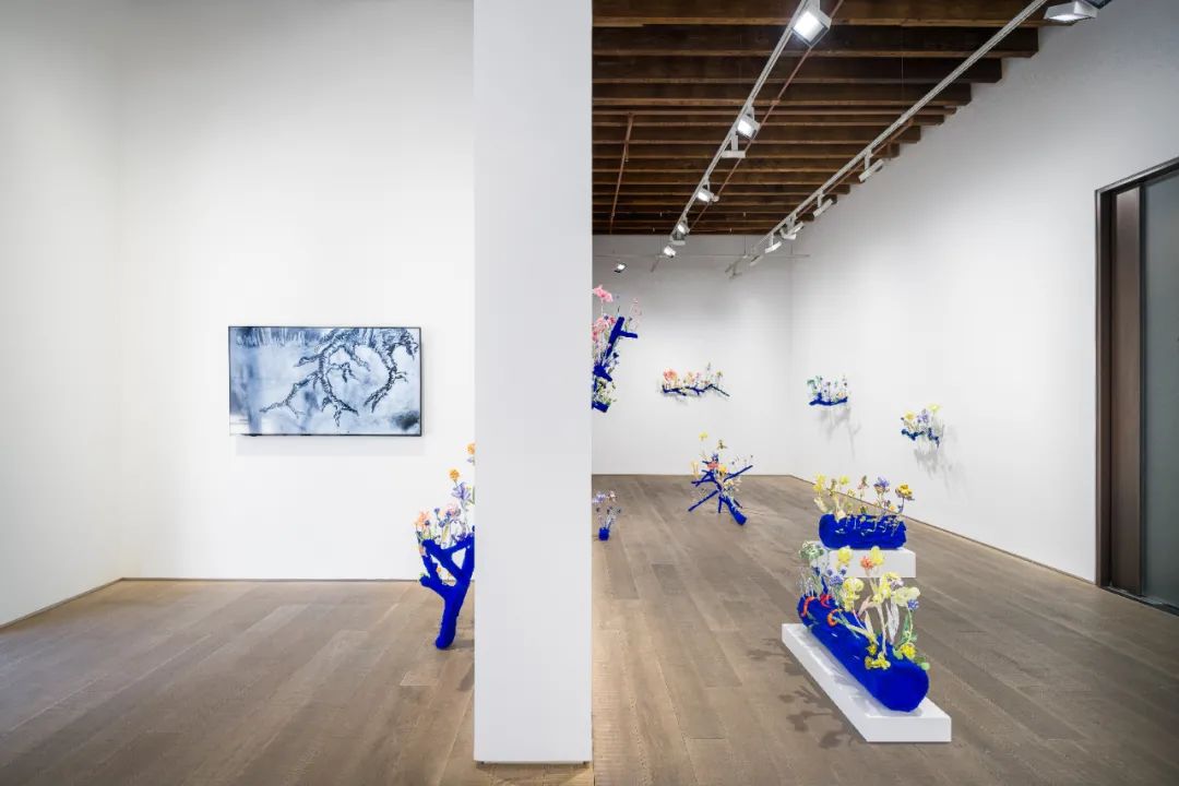 娜塔莉·杜尔伯格 & 汉斯·博格个展「驻足」