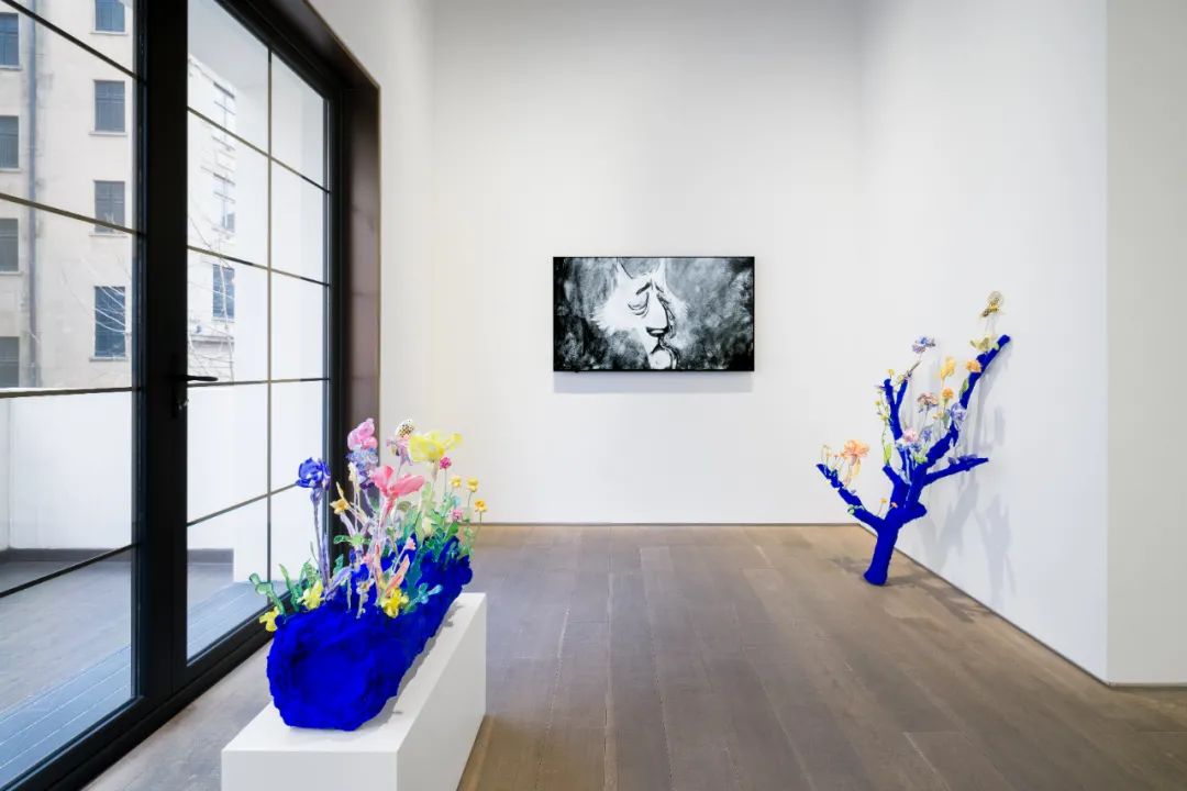 娜塔莉·杜尔伯格 & 汉斯·博格个展「驻足」