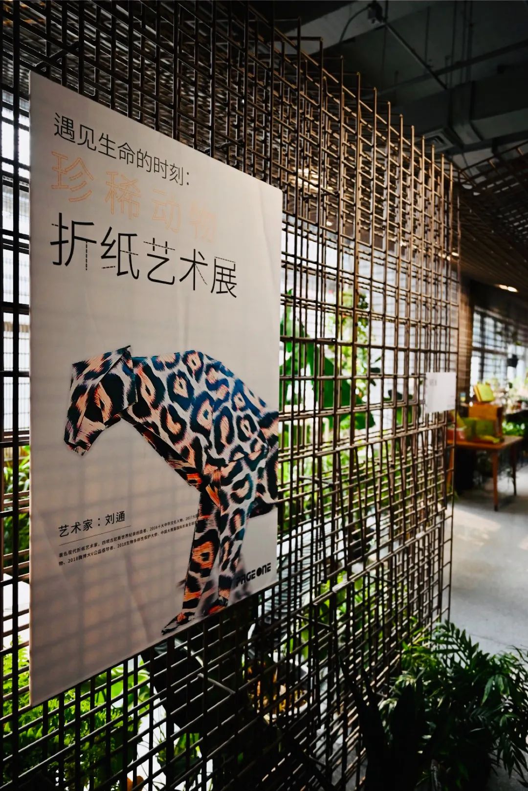 遇见生命的时刻：珍稀动物折纸艺术展