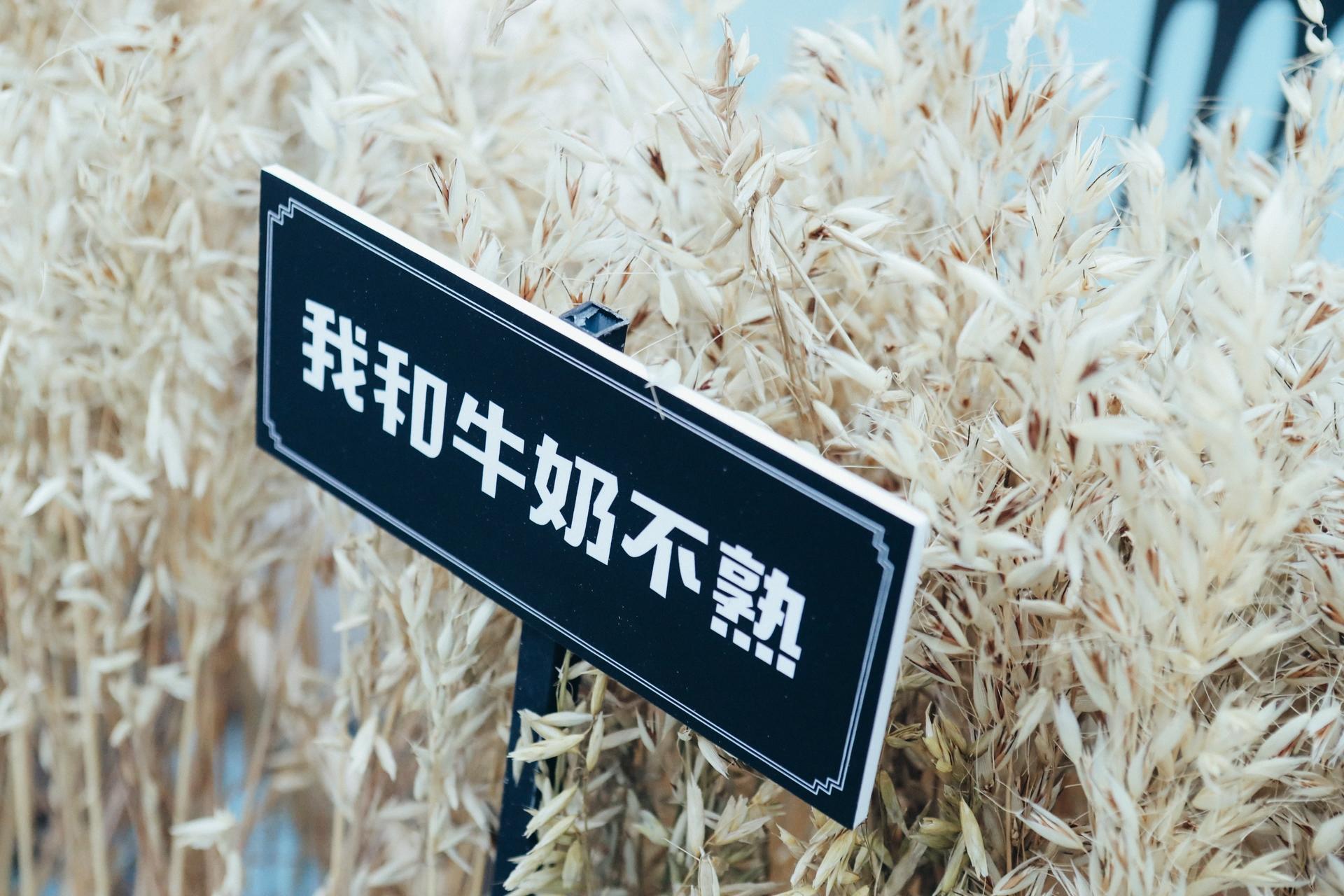 Oatly噢麦力快闪店活动策划的“麦穗”的装置在光影的作用下更显活力 美陈网站 美陈前沿 
