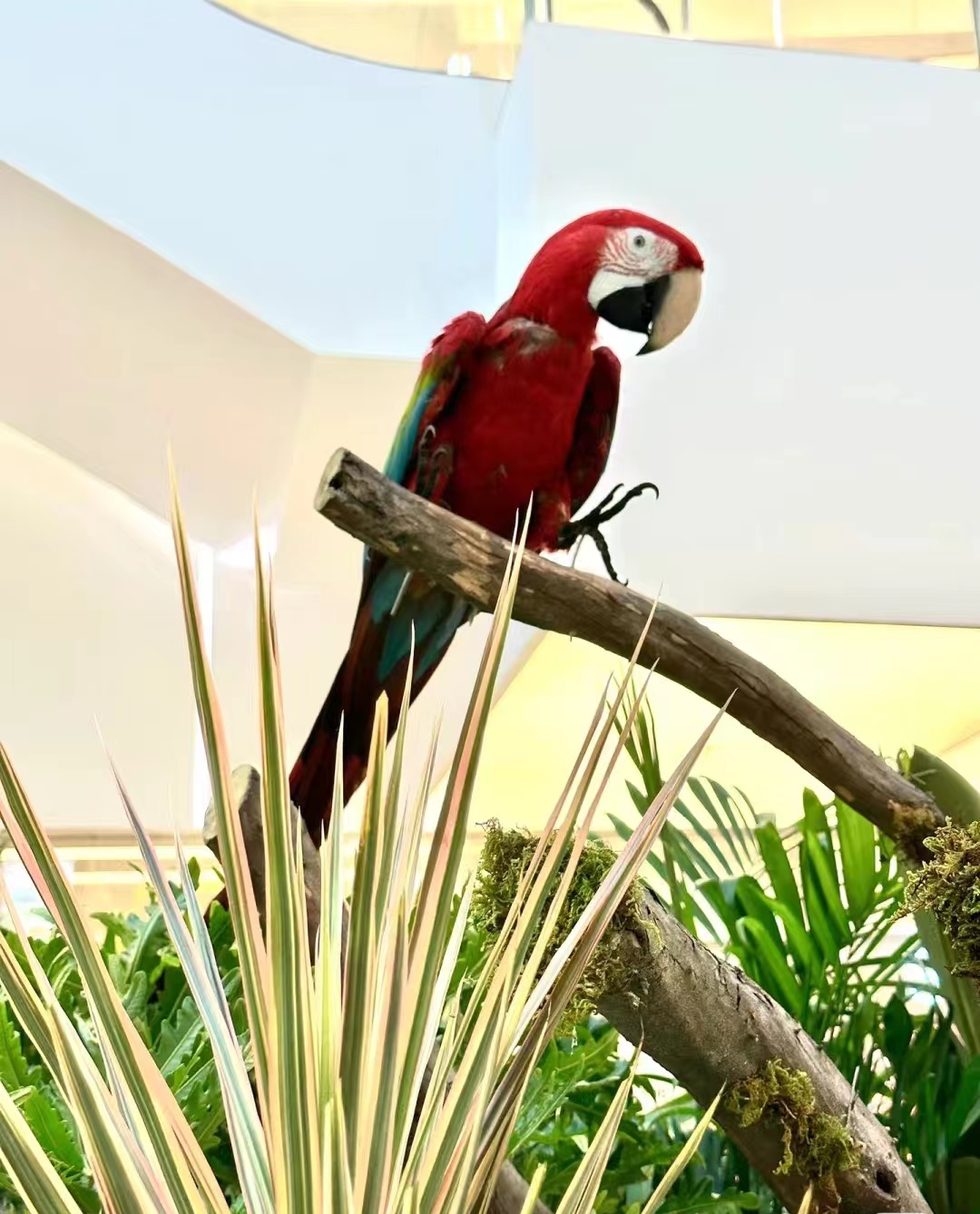 深圳天河城森林幻想曲主题活动策划让可爱的动物缝补了灵魂的疲惫 美陈网站 美陈前沿 