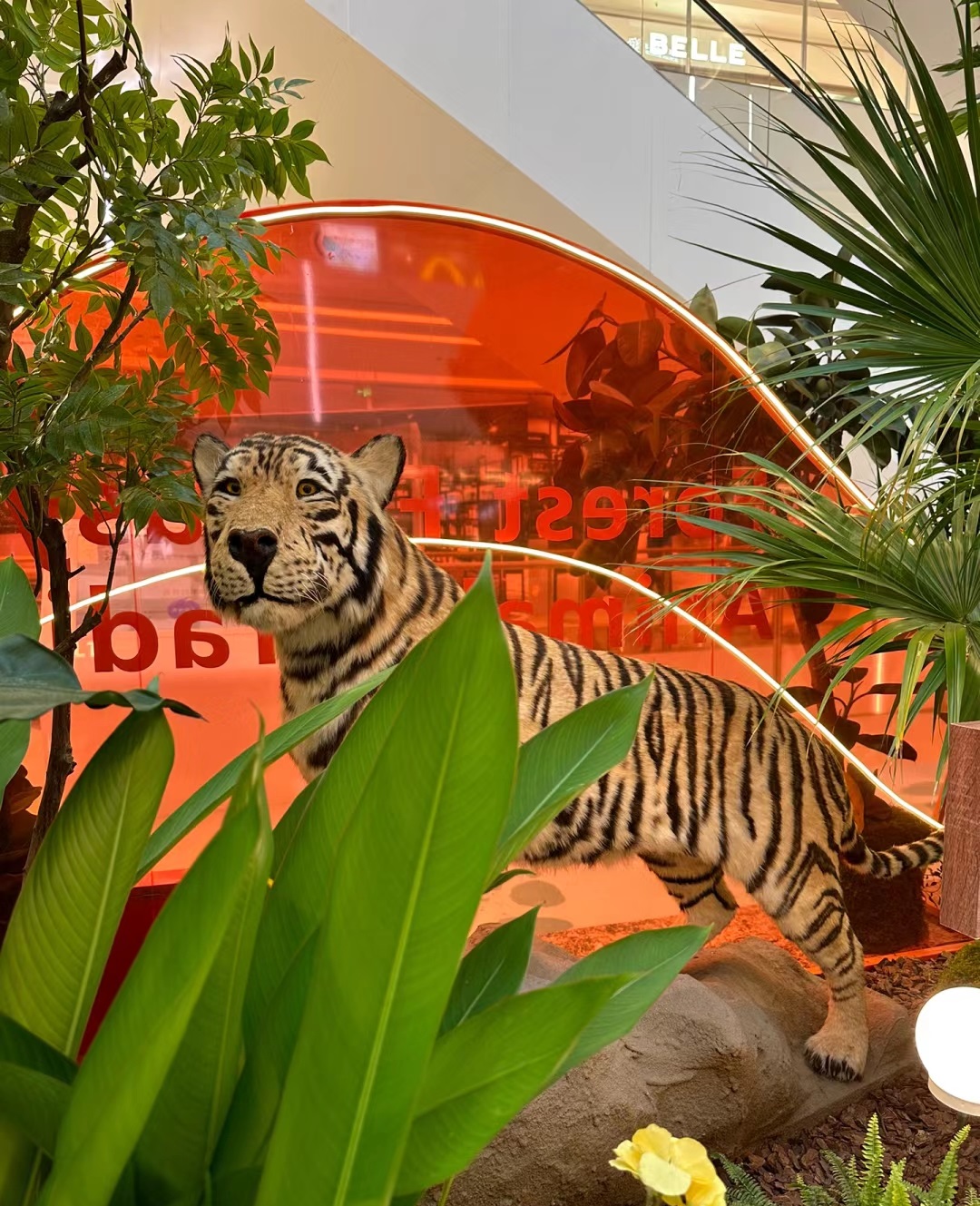 深圳天河城森林幻想曲主题活动策划让可爱的动物缝补了灵魂的疲惫 美陈网站 美陈前沿 