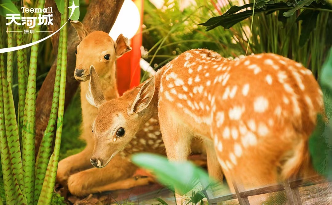 深圳天河城森林幻想曲主题活动策划让可爱的动物缝补了灵魂的疲惫 美陈网站 美陈前沿 