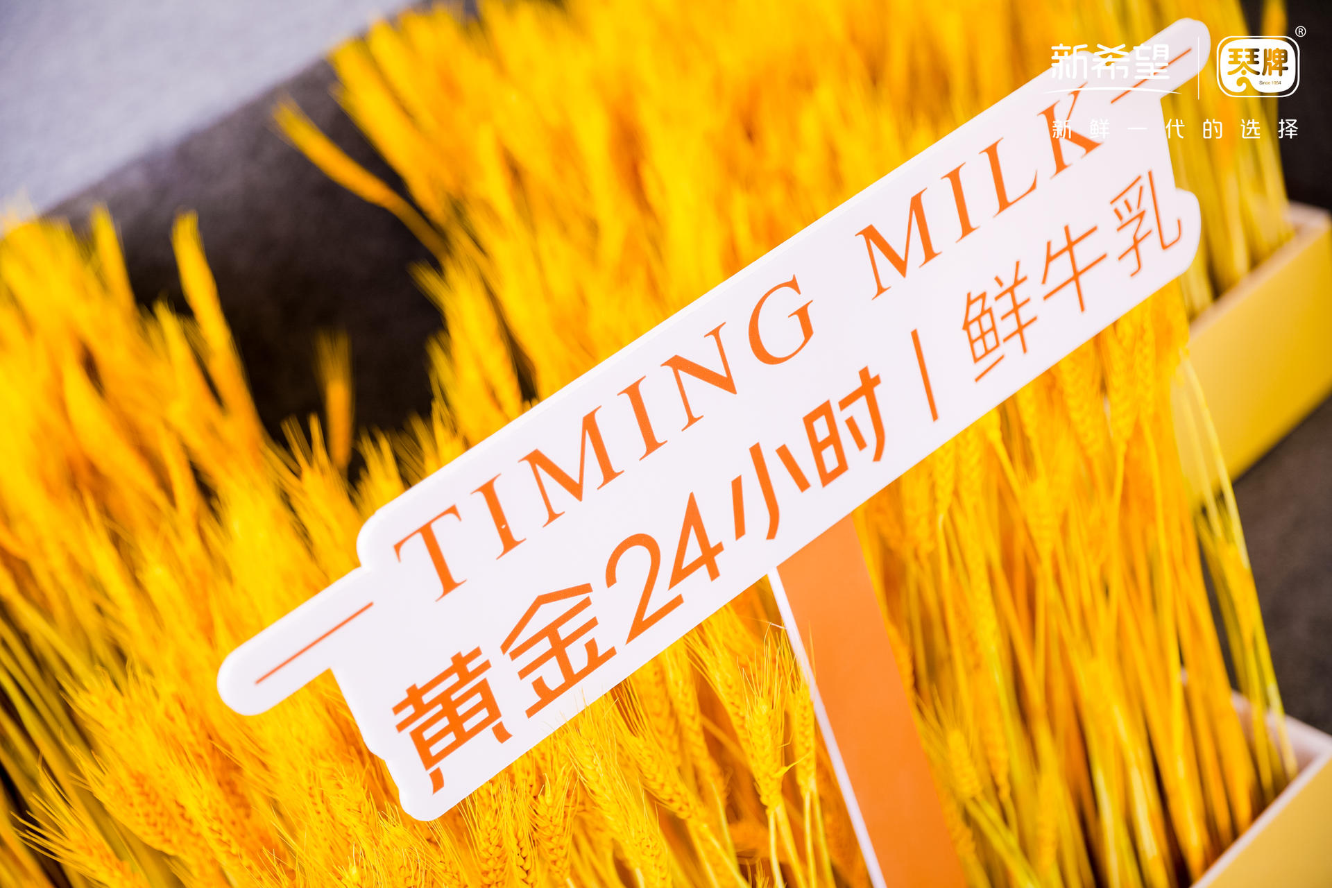 新希望琴牌乳业二期巴氏鲜奶智能工厂竣工典礼活动策划新鲜领航 美陈网站 美陈前沿 