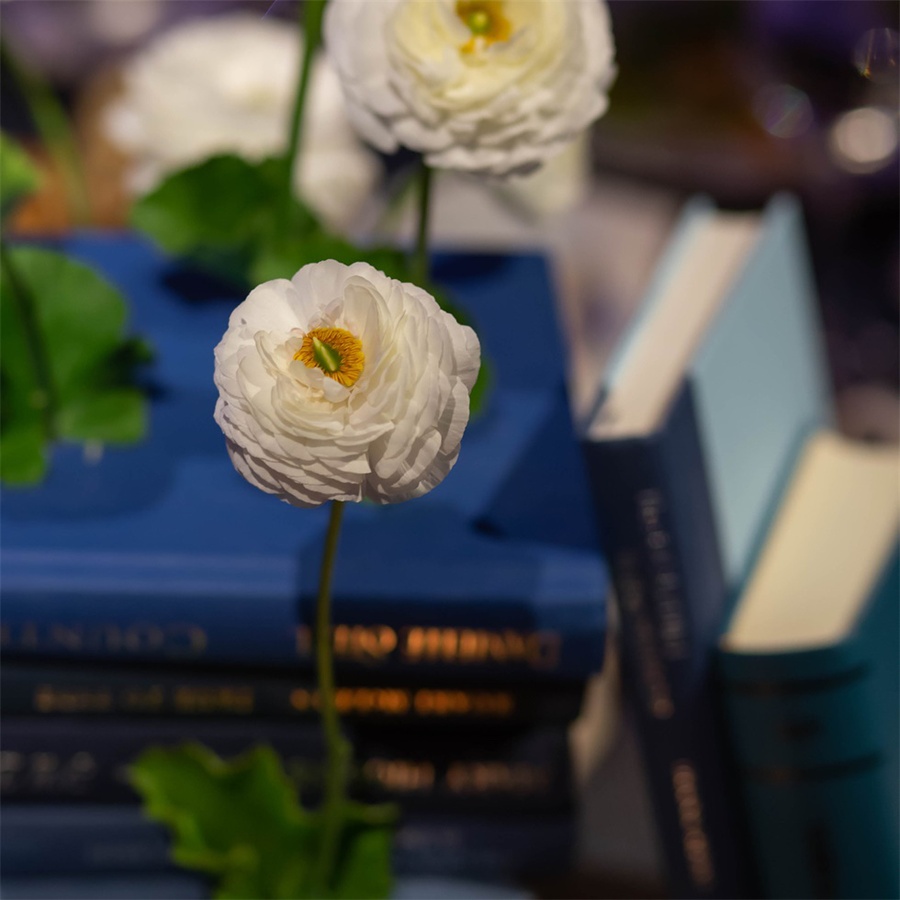 用书做设计元素的晚会活动策划打破刻板常规，惊艳了全场 美陈网站 美陈前沿 