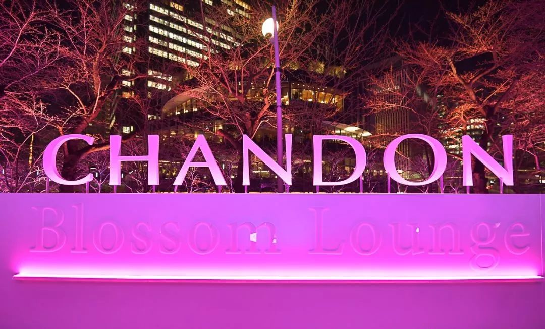 如此观赏性极强的气泡樱花展览活动，不走步一波太对不住它的美 美陈网站 美陈前沿 