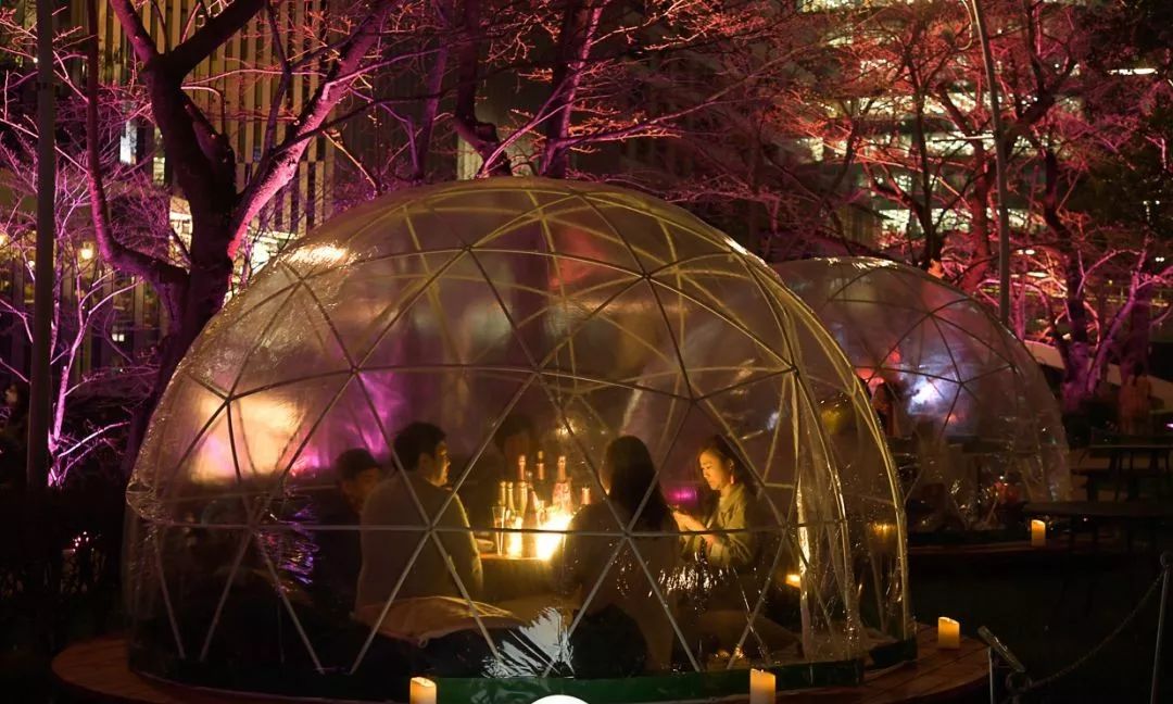 如此观赏性极强的气泡樱花展览活动，不走步一波太对不住它的美 美陈网站 美陈前沿 