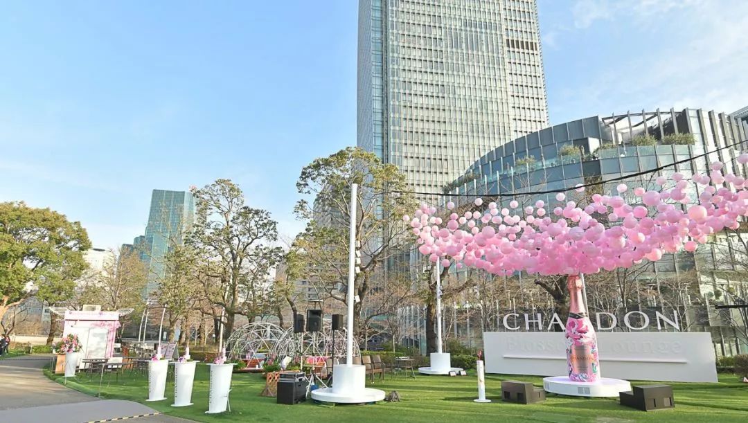 如此观赏性极强的气泡樱花展览活动，不走步一波太对不住它的美 美陈网站 美陈前沿 