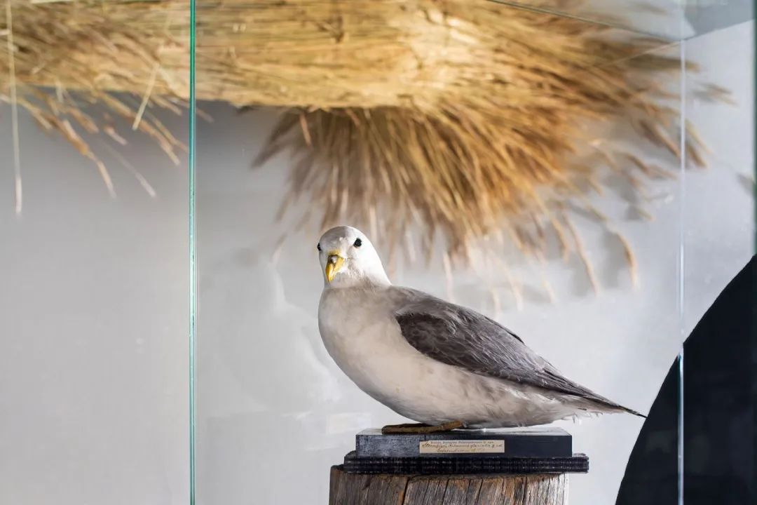 沉浸式体验的展览活动策划，旨在让你见证气候变化引起的环境问题 美陈网站 美陈前沿 