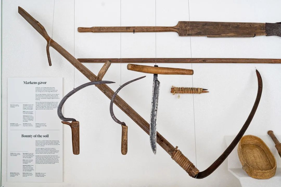 沉浸式体验的展览活动策划，旨在让你见证气候变化引起的环境问题 美陈网站 美陈前沿 