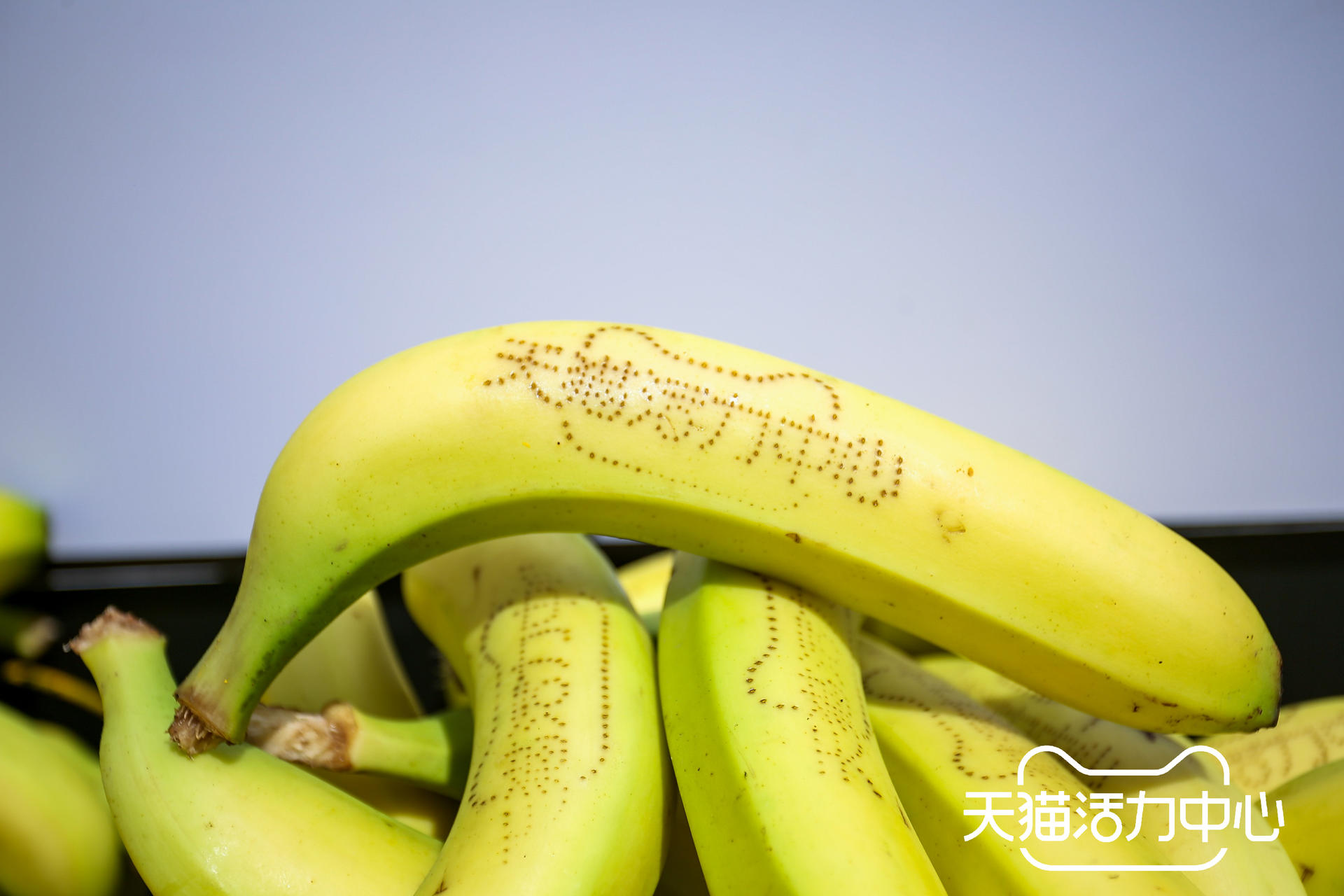 天猫健康跑活动策划还有可爱的Tom和Jerry亲临现场共享嘉年华盛宴 美陈网站 美陈前沿 
