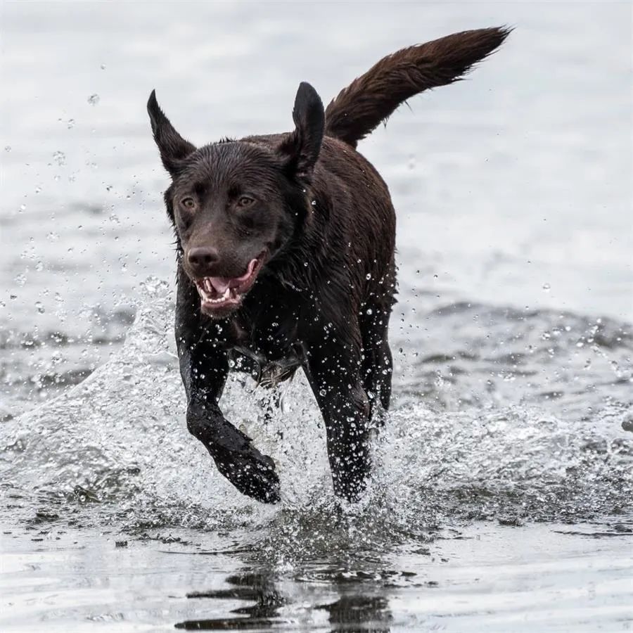 节庆主题活动策划的一系列室内室外活动足够让你忙得不亦乐乎 美陈网站 美陈前沿 