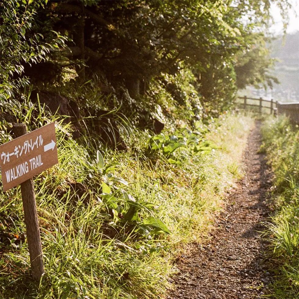 节庆主题活动策划的一系列室内室外活动足够让你忙得不亦乐乎 美陈网站 美陈前沿 