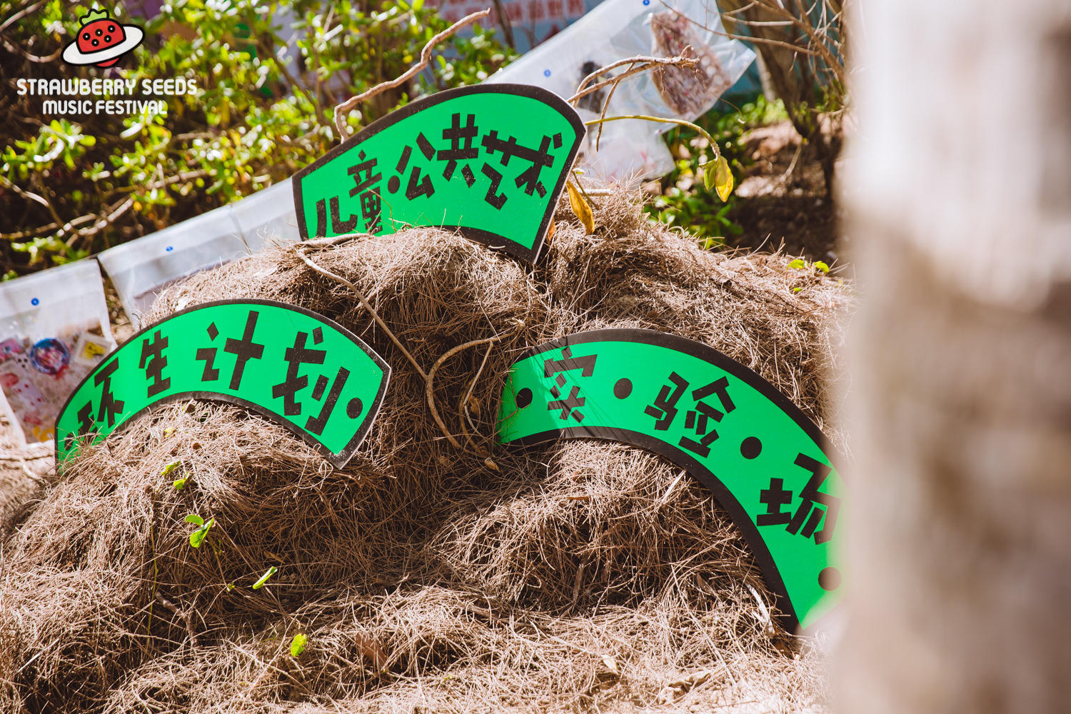 海南小草莓亲子音乐节活动策划营造了健康幸福的亲子海滨生活方式 美陈网站 美陈前沿 