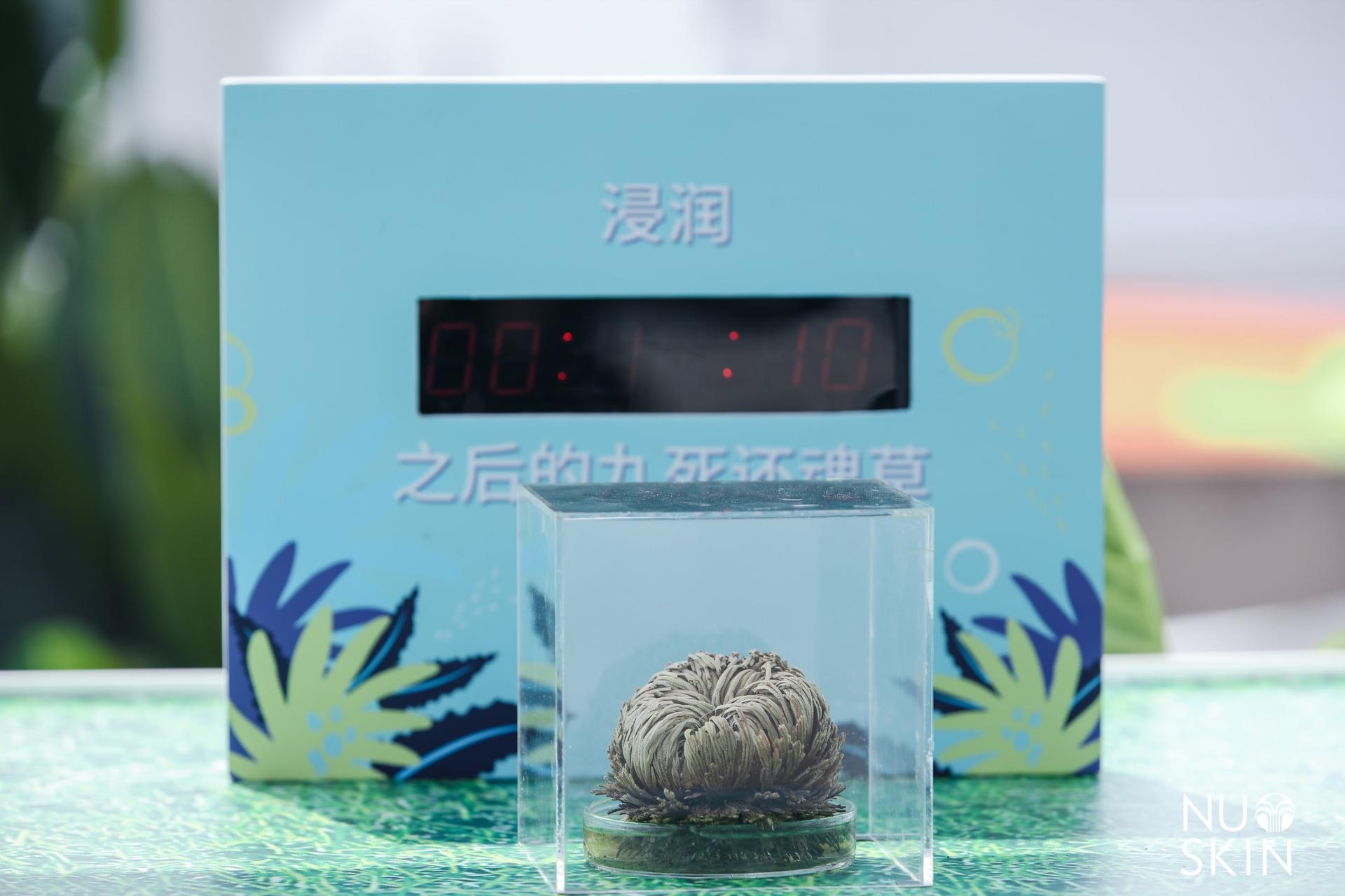 如新超级年会活动策划以年轻人喜欢的方式点燃了全场激情 美陈网站 美陈前沿 