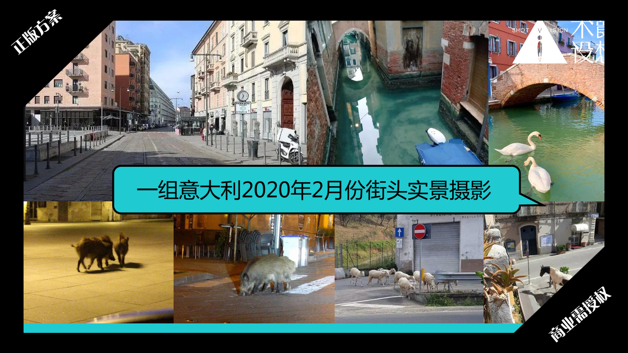 2020夏暑方案-超能小怪兽之动物来啦-授权版