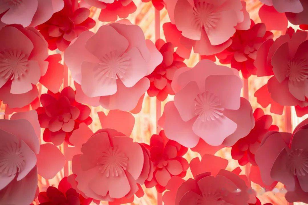 来SM看新花开，邂逅闽南语新传承展览活动策划