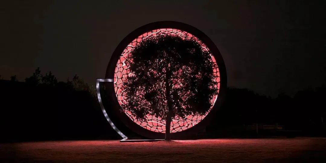 仅用一个灯光展览活动装置就传递了大自然的声音，自然之声太神奇了