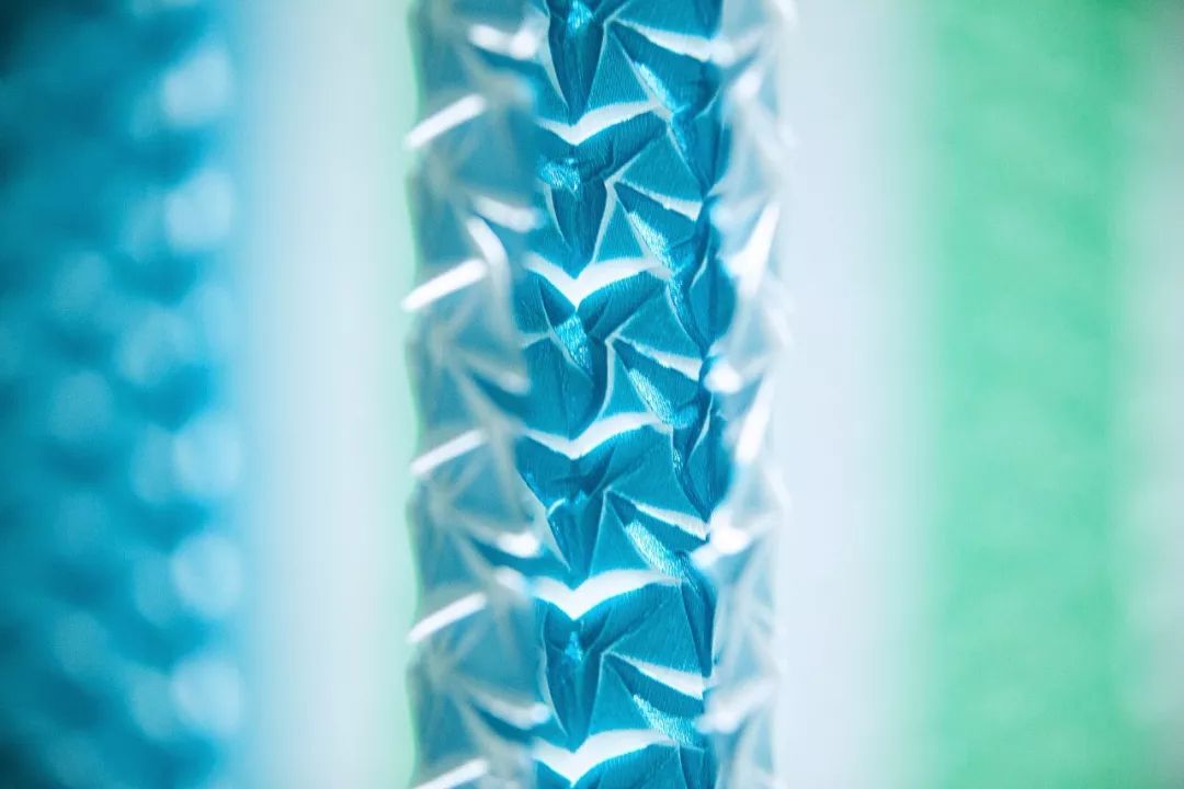 橱窗里的活动策划紧扣自然风景,像森林中呼吸的生物一般美丽