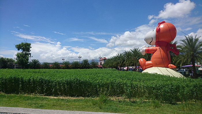 史努比迷宫秒变银河花园，浪漫指数完全爆表嘛