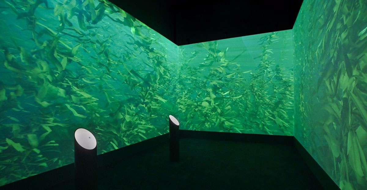 用光影艺术展示了海洋的另一种魅力，这个艺术展览带来了更多不一样的探索