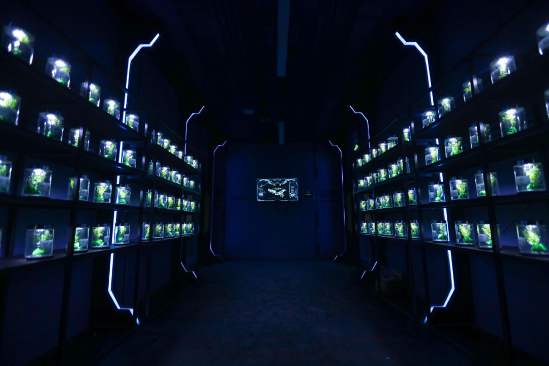 将快闪店策划成密室逃脱他们是第一家，一起来这个科幻主题的密室快闪店玩转一番吧！