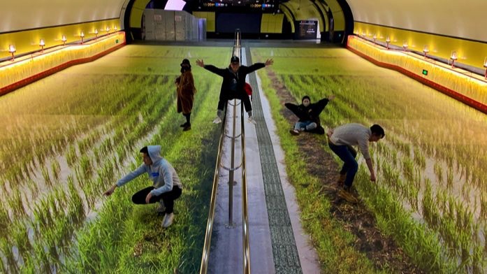 稻梦空间快闪店活动刷新了上海徐家汇地铁通道，世外稻源原来如此