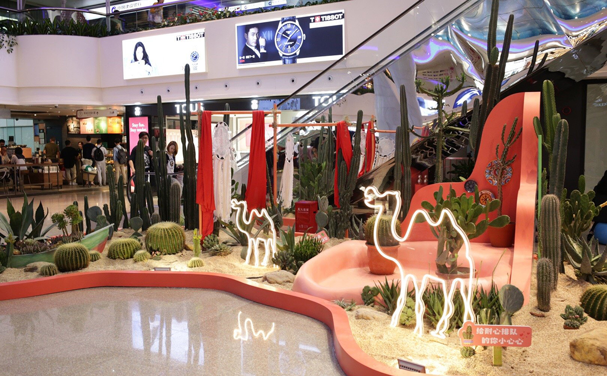 仙人掌主题会展活动带你“涨姿势”啦，“仙”境之旅开启咯