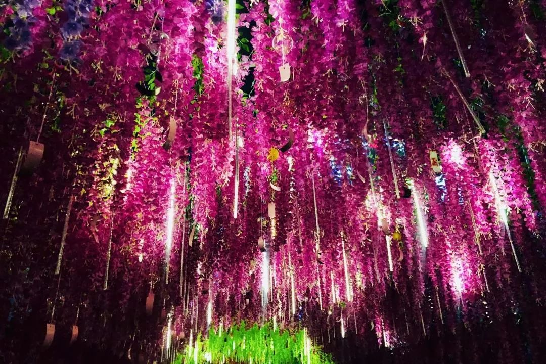 五一假期的快闪展览活动已成为疫情后新一轮的网红打卡点