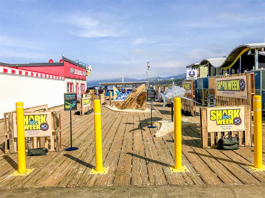 探索频道「鲨鱼周」30周年的推广活动策划了一场鲨鱼艺术装置