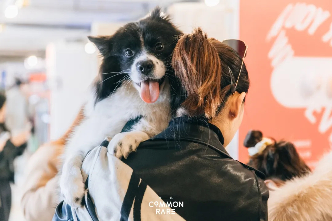 「小事情大超市」快闪活动策划的市集活动有木有戳中你的心灵