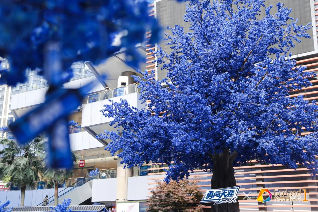 蓝色樱花节活动策划你见过吗?一起沉浸于蓝色樱花的梦幻中吧