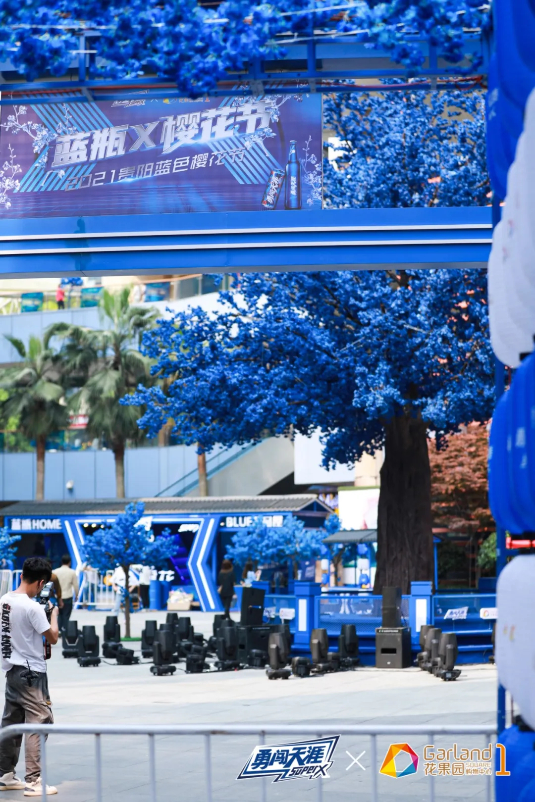 蓝色樱花节活动策划你见过吗?一起沉浸于蓝色樱花的梦幻中吧